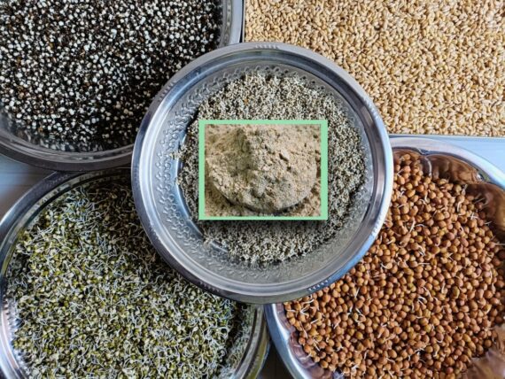 Sprouted Health Mix